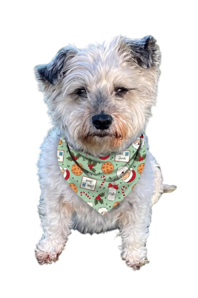 Luxe Bamboo Dear Santa Dog Bandana