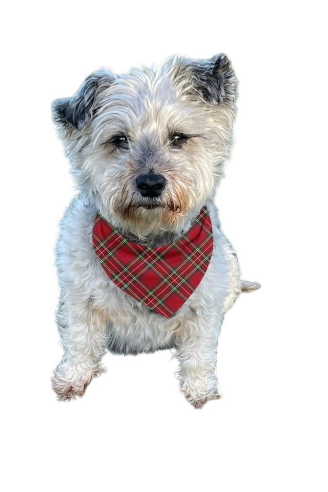 Luxe Bamboo Red Tartan Dog Bandana
